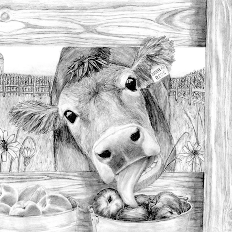 Farm Bureau seeks entries for annual art & essay contests